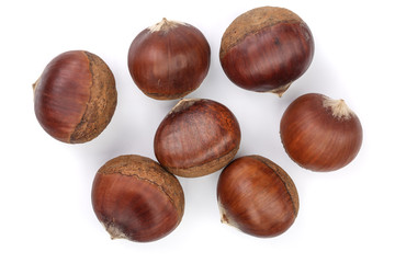 chestnut isolated on white background. Top view. Flat lay