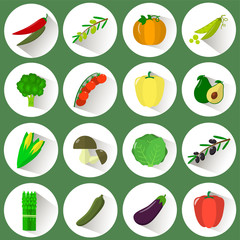 A set of icons of different vegetables in a white circle with a shadow on a green background.