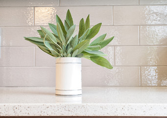 Bunch of freah sage leaves in a ceramic cup on a granite countertop