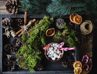 Hot chocolate or cocoa with marshmallow and lollipop sweet candies, christmas decoration with fir tree