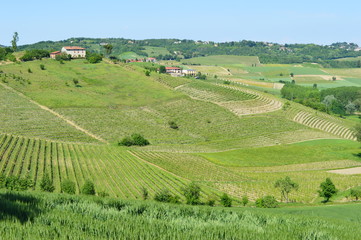 Fototapeta na wymiar Panorama del Monferrato