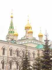 Fototapeta na wymiar Voskresensky Cathedral of Orthodox Voskresensky Novodevichy Convent.