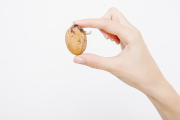 The girl keeps the Greek nuts in her hands.