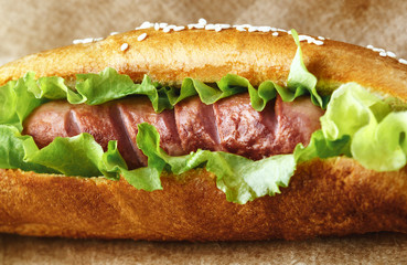 delicious homemade Hot dog with salad and sesame seeds close-up