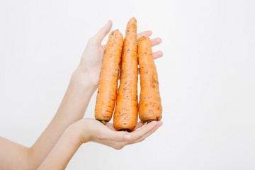 The girl holds the carrot in her hands. Young woman with carrots.