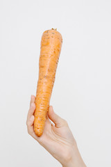 The girl holds the carrot in her hands. Young woman with carrots.