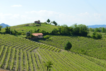 Panorama del Monferrato