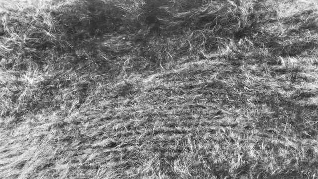 Textur und Hintergrund aus Angorawolle