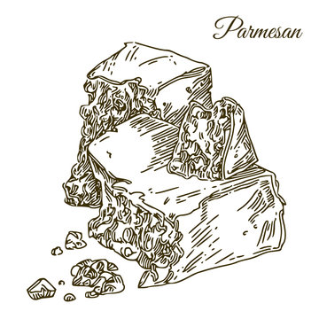 Slice of Parmesan cheese. Engraving style. Vector illustration.