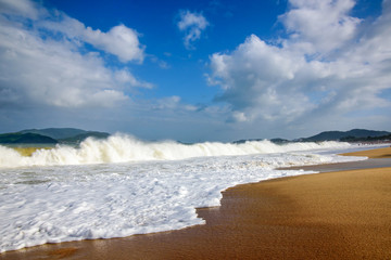 Beautiful wild tropical beach landscape in Vietnam