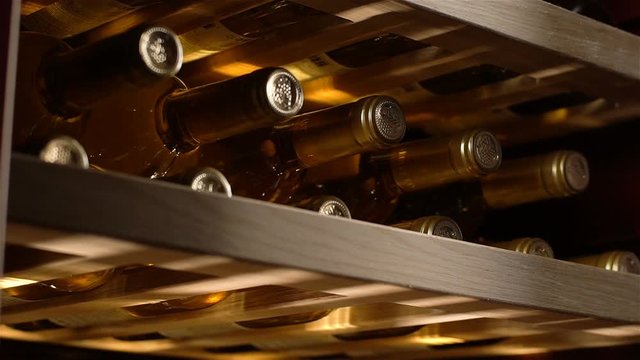 Closeup Refrigerator Provides Best Conditions for Wine Storage
