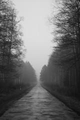 Obraz premium asphalt road hole leading through gray misty forest