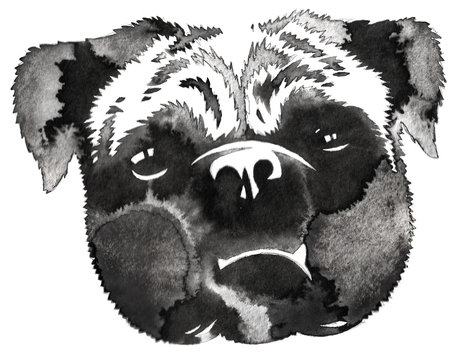 Black And White Monochrome Painting With Water And Ink Draw Dog Illustration