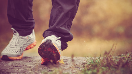 Autumn leaves and walking sneakers