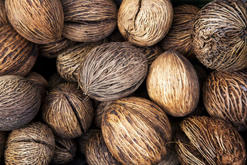 Pong Pong tree seeds texture