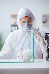 Scientist doing animal experiment in lab with rabbit