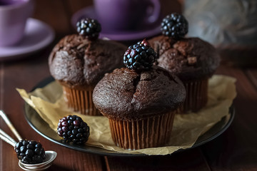 Chocolate muffins decorated with blackberry.