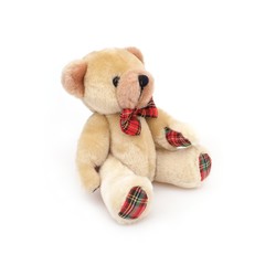 Children's toy: teddy bear