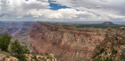 Naklejka premium Grand Canyon looking to Desert View from Navajo Point