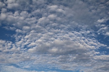 Fototapeta premium Cumuli clouds in Australia