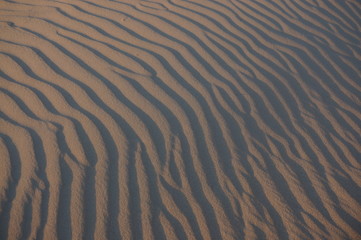 Fototapeta na wymiar Vom Wind geformter Sand im Abendlicht