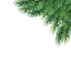 Obraz premium fir-tree branches- festive design. Close-up. Isolated. Christmas. New Year. Vector Illustration .Eps 10.
