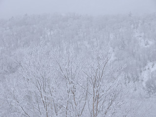 樹氷　北海道