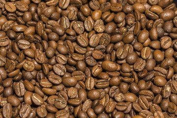 Coffee Beans Background. Close Up.
