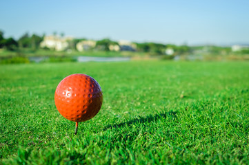 Sunny day and golf field natural scenic outdoors, bright sky background. Sunshine fitness leisure lifestyle space