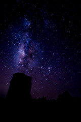 Fototapeta premium The Milky Way and some trees. In the mountains.