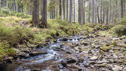 A view of a mountain stream that flows down a slope of stones
