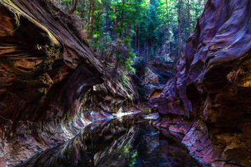 Subway in Sedona, Arizona