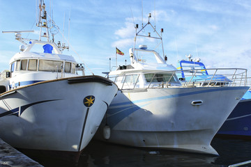 Fototapeta premium Fishing boats moored in the port