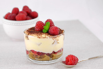 Italian dessert tiramisu.