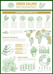 Salad greens and leaf vegetable infographic design