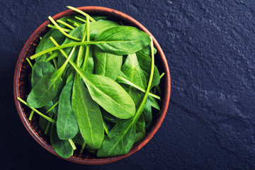 fresh green baby spinach