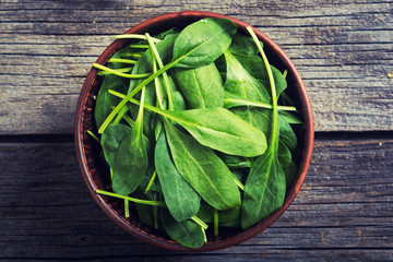 fresh green baby spinach