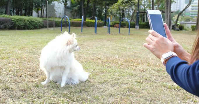Woman taking photo with cellphone on her dog in park
