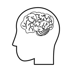 Human brain isolated