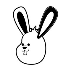 Cute bunny cartoon