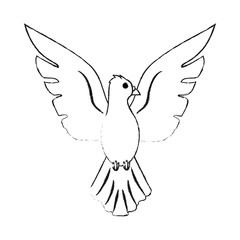 Dove bird cartoon