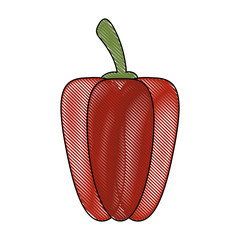 Pepper fresh vegetable