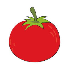Fresh tomato vegetable,
