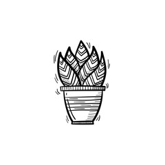 Vector hand drawn sansevieria trifasciata outline doodle icon. Decorative potted house plant sketch illustration for print, web, mobile and infographics isolated on white background.