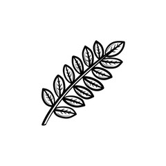 Vector hand drawn leaves on branch outline doodle icon. Leaves on branch sketch illustration for print, web, mobile and infographics isolated on white background.