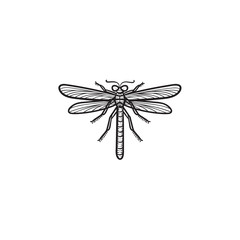 Vector hand drawn dragonfly outline doodle icon. Dragonfly sketch illustration for print, web, mobile and infographics isolated on white background.