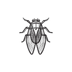Vector hand drawn fly outline doodle icon