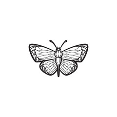 Vector hand drawn butterfly outline doodle icon