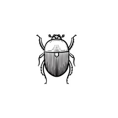 Vector hand drawn colorado potato beetle outline doodle icon