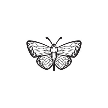 Vector hand drawn butterfly outline doodle icon